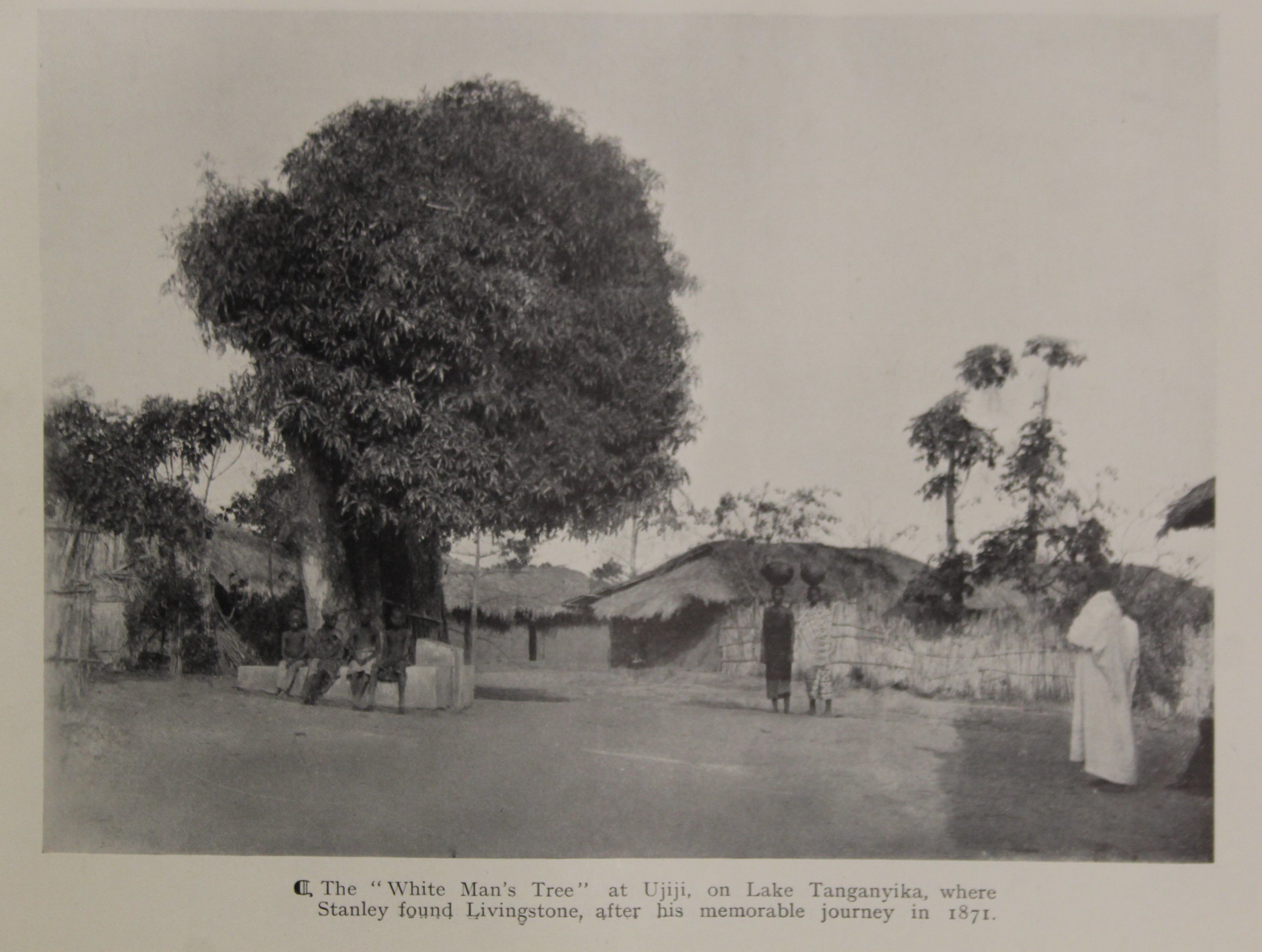 Johnston (Sir Harry H), British Central Africa, first edition, original cloth, - Image 38 of 52