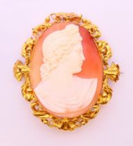 A boxed cameo brooch/pendant set in a gilt frame. 6 cm x 5.5 cm.