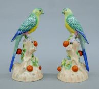 A pair of porcelain parrots. 25 cm high.