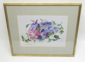Jean Starkie (20th Century) 'Clematis - Comtesse De Bouchard' watercolour, signed; with Artist's