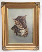 Ada D. Clarkson (British C20th); Portrait of a Tabby cat, head and neck, oil on board, signed and