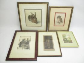 Collection of framed prints inc. Albrecht Durer's rabbit and owl, print of Durham Cathedral, etc. (