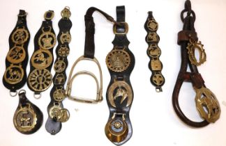 Collection of various leather mounted horse brasses (qty)