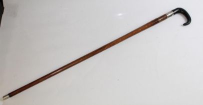 'Walking Stick' With horn handle, 297-230. Overall Length 35.5ins.