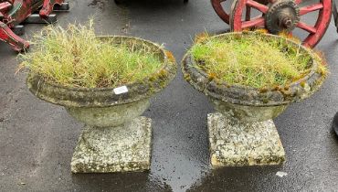 A pair of reconstituted stone planters on stepped plinths