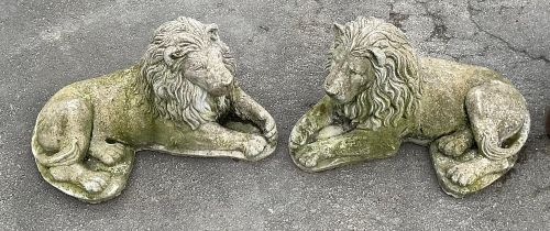 A Pair of reconstituted recumbent stone lions. Approx 66cm length