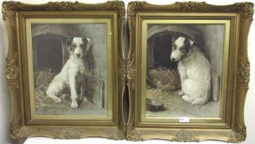After Sam Fulton (Scottish 1855-1943); Rough Coated Terriers in barn interiors, pair of colour
