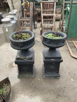 Two Victorian style black painted reconstituted urns on plinths with rose design (2)
