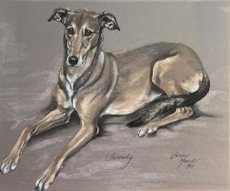 Susan Maud (British Contemporary): "Shandy", study of a recumbent hound, pastel, signed and dated