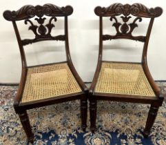 Pair of Regency rosewood side chairs, with anthemion leaf and scroll carved top rail and splat,