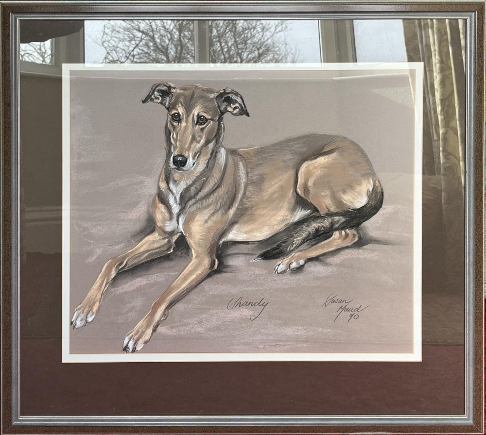 Susan Maud (British Contemporary): "Shandy", study of a recumbent hound, pastel, signed and dated - Image 3 of 3