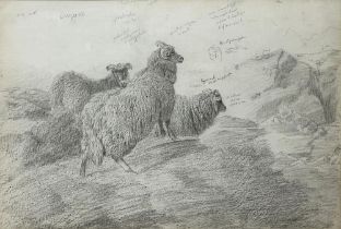 Sir Edwin Henry Landseer RA (British b.1802); 'Sheep' Sheep in a landscape, pencil sketch with