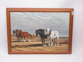 Angell (British, 20th century); Group of Heavy Horses - Ploughing Scene at Rempstone Leicester,