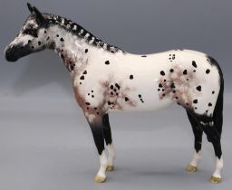 Beswick Appaloosa horse, model no. 1772, H20cm