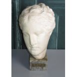 Plaster bust of Yreia, Ancient Greek Goddess of Health, on named grey marble plinth, H28cm