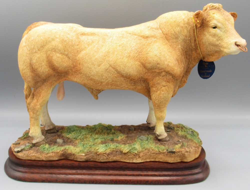 Border Fine Arts, Blonde D'Aquitaine Bull by Kirsty Armstrong, B1188, limited edition 148/500 with