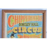 Two framed and glazed small event posters for Chipperfield's Circus, Cambridge and Bingley Hall