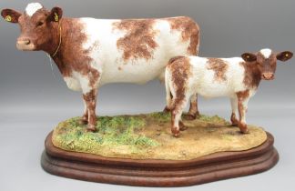 Border Fine Arts, Beef Shorthorn Cow & Calf by Kirsty Armstrong, B1139, limited edition 316/500 with