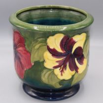 Moorcroft Pottery: 'Hibiscus' pattern cache pot, yellow and red flowers on graduated blue to green