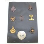 Two folders containing collection of medals and badges. To include King's Royal Hussars, The Blues
