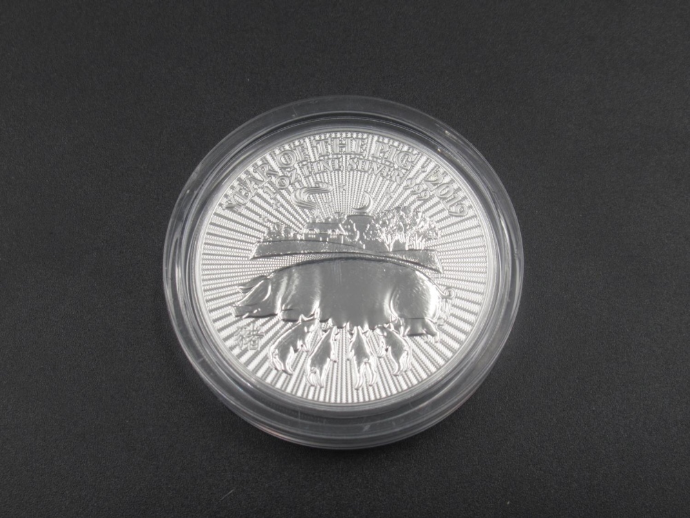 Royal Mint - 10 2019 Year of the Pig 1oz fine silver £2 coins, all encapsulated - Image 3 of 4