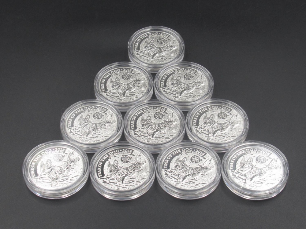 Royal Mint - 10 2018 Year of the Dog 1oz fine silver coins, all encapsulated