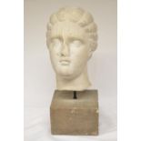 Marble carved head of a Roman style lady/Aphrodite with platted hair set on stone plinth. H36cm (