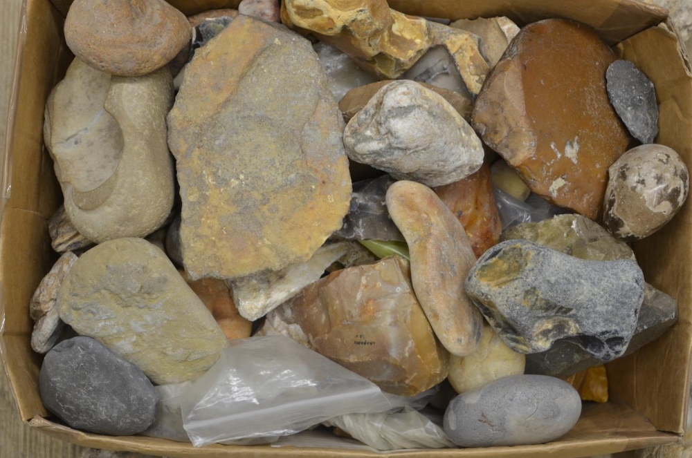 Mixed collection of fossils, minerals and ancient stone tools including fossilised bracket fungus - Image 2 of 5