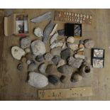 Collection of fossils to include ammonites, coral, shells, petrified wood etc. (Victor Brox