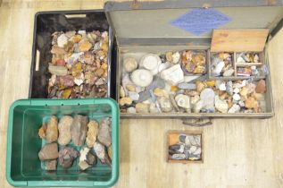 Collection of flint and stone tools including axe heads from Dorset, corn grinders, arrow heads,