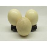 Three undecorated ostrich egg, with two turned wooden stands, 16cm.