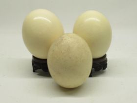Three undecorated ostrich egg, with two turned wooden stands, 16cm.