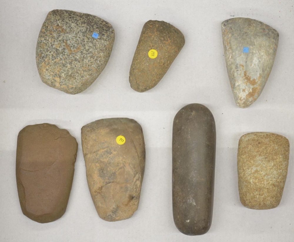 Seven neolithic stone hand axe heads, largest L11.5cm (Victor Brox collection)