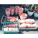 Large collection of terracotta plant pots of various ages and sizes