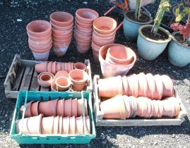 Large collection of terracotta plant pots of various ages and sizes