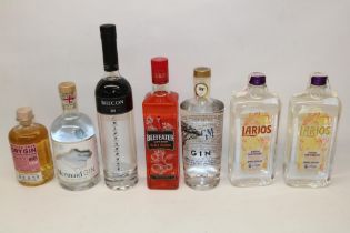 Collection of various bottles of gin (7)