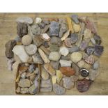 Mixed collection of fossils, minerals and ancient stone tools including fossilised bracket fungus