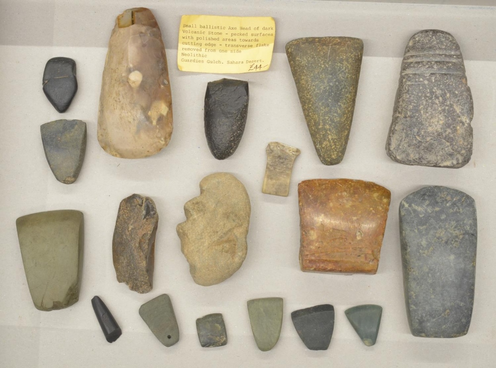 Collection of neolithic stone and flint axe heads and other hand tools, largest L11.5cm (Victor Brox