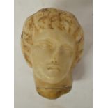 Small Roman carved marble statue head, H9cm (Victor Brox collection)