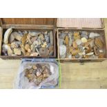 Collection of ancient flint and stone tools, many with find locations attached, mostly from France