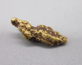 Pure gold nugget, 7.9g (Victor Brox collection)