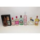 Collection of various gins incl. flavoured gins (7)