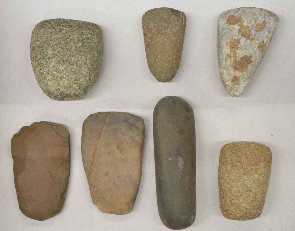 Seven neolithic stone hand axe heads, largest L11.5cm (Victor Brox collection) - Bild 2 aus 2