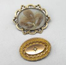 Victorian 9ct yellow gold Etruscan style oval brooch set with single seed pearl to centre, with