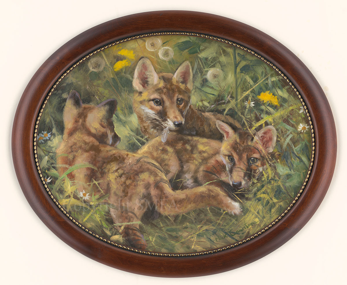 Fox Cubs