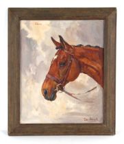 Property of a deceased estate - Peter Biegel (1913-1987) - 'CELMA', A HEAD PORTRAIT OF A HORSE - oil