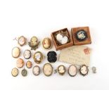 Property of a deceased estate - a collection of cameo brooches including Victorian carved shell