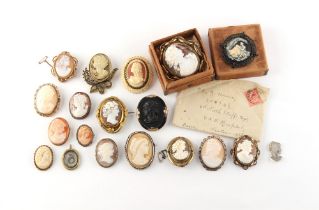 Property of a deceased estate - a collection of cameo brooches including Victorian carved shell