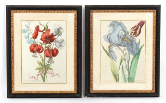 Property of a lady - a pair of black & gilt painted framed botanical prints, modern, each 26.5 by