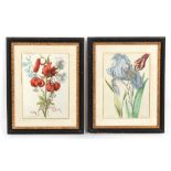 Property of a lady - a pair of black & gilt painted framed botanical prints, modern, each 26.5 by